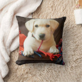 ソファーのGettyのイメージ|の子犬 クッション (ブランケット)