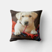 ソファーのGettyのイメージ|の子犬 クッション (裏面)