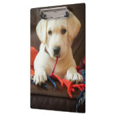 ソファーのGettyのイメージ|の子犬 クリップボード (左)