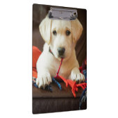 ソファーのGettyのイメージ|の子犬 クリップボード (右)