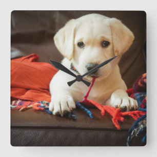 ソファーのGettyのイメージ の子犬 スクエア壁時計