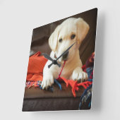 ソファーのGettyのイメージ|の子犬 スクエア壁時計 (傾斜)
