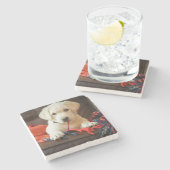 ソファーのGettyのイメージ|の子犬 ストーンコースター (横)