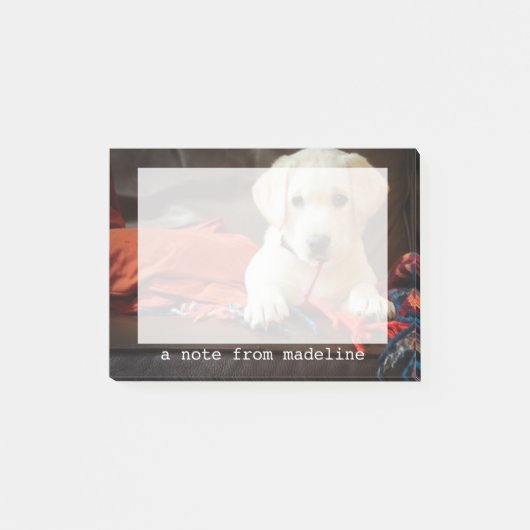 ソファーのGettyのイメージ|の子犬 ポストイット (正面)
