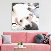 ソファ・スクエアにパパを置いたかわいい疲れた犬の写真 キャンバスプリント (インサイチュ (リビング))