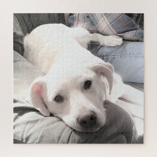 ソファ・スクエアにパパを置いたかわいい疲れた犬の写真 ジグソーパズル (縦)