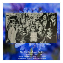 ソフィア・ブルガリアの青いコーンフラワー展