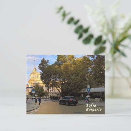 ソフィア ポストカード (スタンド正面)