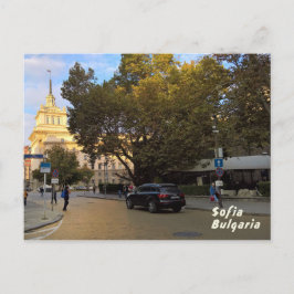 ソフィア ポストカード