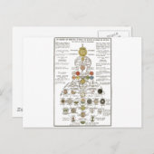 ソフィア – 精神を変える ポストカード (正面/裏面)