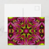 ソフィオルニテラ66 ポストカード (正面/裏面)