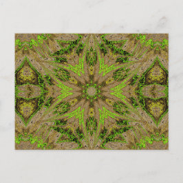 ソフィオルニテラ92 ポストカード