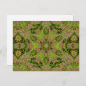 ソフィオルニテラ92 ポストカード (正面/裏面)