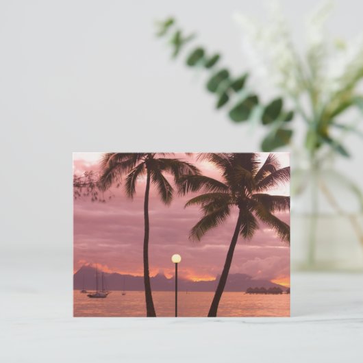 ソフィテルマエバビーチからモーレアサンセットホテル ポストカード (スタンド正面)