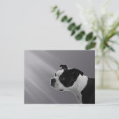 ソフィーはがき ポストカード (スタンド正面)