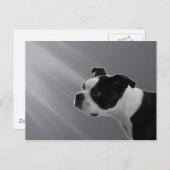 ソフィーはがき ポストカード (正面/裏面)