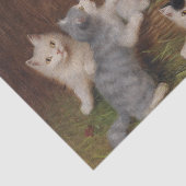 ソフィー・スペリヒによる子猫 薄葉紙 (詳細)