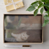 ソフィー・スペリヒによる子猫 薄葉紙 (ギフト)