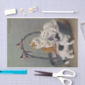 ソフィー・スペリヒのバスケットに入った猫 薄葉紙 (クラフト)