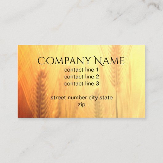 ソフトでドリームタイプの自然名刺の両面 名刺 (裏面)