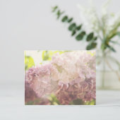 ソフトと紫 ポストカード (スタンド正面)