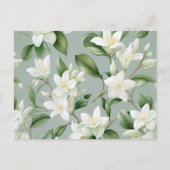 ソフトなジャスミンの花の優雅さ ポストカード (正面)