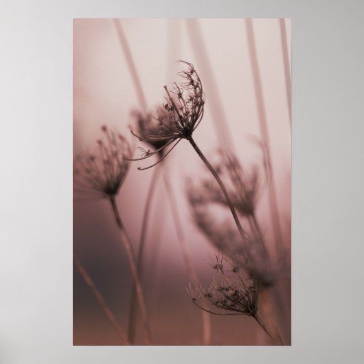 ソフトな光に照らされた野生の花の種 ポスター (正面)