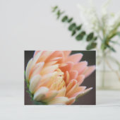 ソフトはがき ポストカード (スタンド正面)