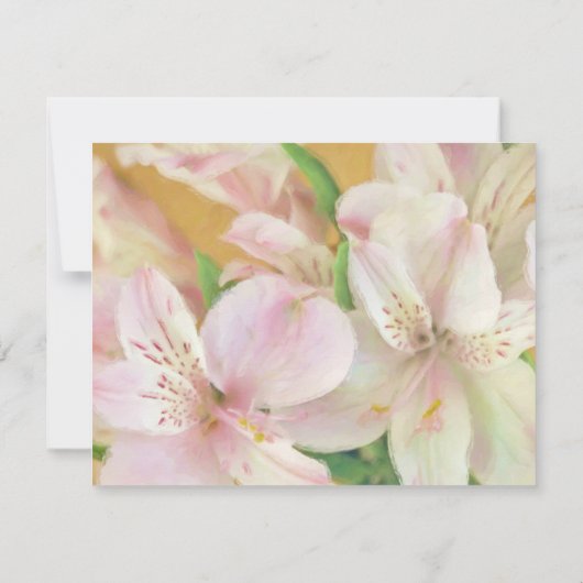 ソフトアルストロメリアの絵画 招待状 (裏面)