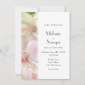 ソフトアルストロ絵画メラ 招待状 (正面)