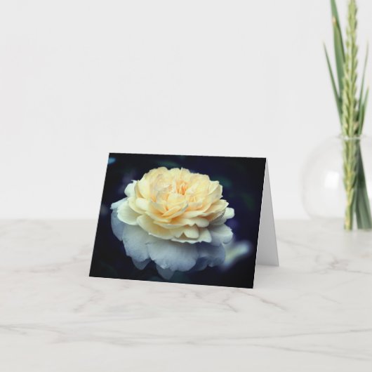 ソフトイエローのバラの花の写真 ノートカード (正面)