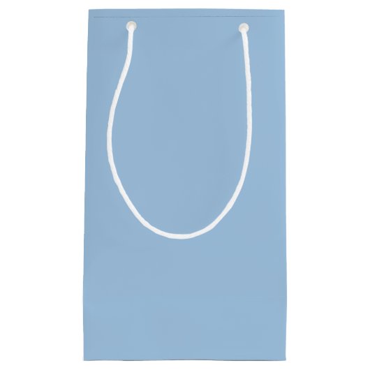 ソフトウィンターブルー無地の スモールペーパーバッグ (正面)