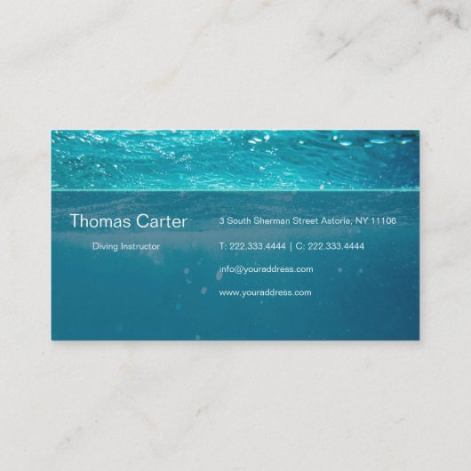 ソフトウェア開発者プログラマー国際的カード 名刺 (裏面)