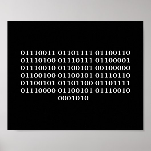 ソフトウェア開発者 ポスター (正面)