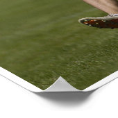 ソフトウェア8 ポスター (角)