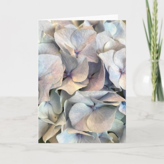 ソフトエクスプレッションカ空白のード サンキューカード (正面)