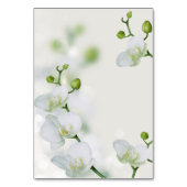 ソフトオーキエレガントッド テーブルナンバー (裏面)