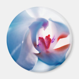 ソフトカラーズオーキッドプリント磁石 マグネット