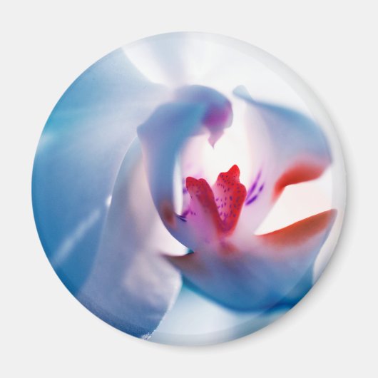 ソフトカラーズオーキッドプリント磁石 マグネット (正面)