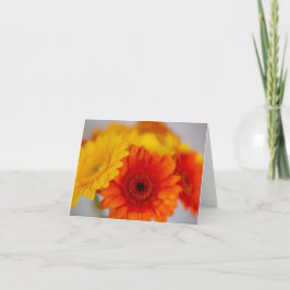 ソフトガーベラ束 カード