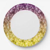 ソフトクラウド6 ペーパープレート (正面)