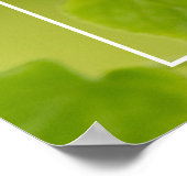 ソフトグリーンの夏 ポスター (角)