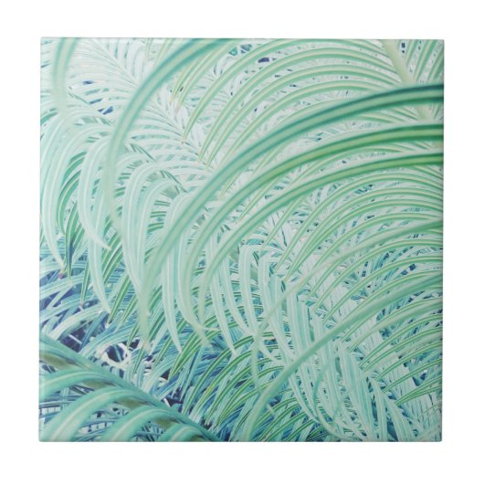 ソフトグリーンプラントパームパ葉ステル タイル (正面)