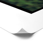 ソフトコートウィートテリアのポスター ポスター (角)