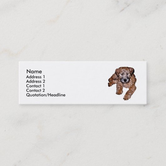 ソフトコートウィートテリアパピー スキニー名刺 (正面)