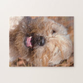 ソフトコートウィートテリアポートレート ジグソーパズル (横)