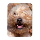 ソフトコートウィートテリアポートレート マグネット (縦)