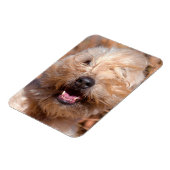 ソフトコートウィートテリアポートレート マグネット (左側)