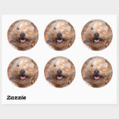 ソフトコートウィートテリアポートレート ラウンドシール (シート)