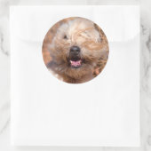 ソフトコートウィートテリアポートレート ラウンドシール (バッグ)